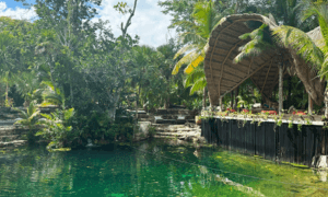 Vesica Cenote Club